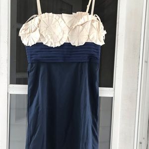 BCBG Color block dress w/ flower appliqué